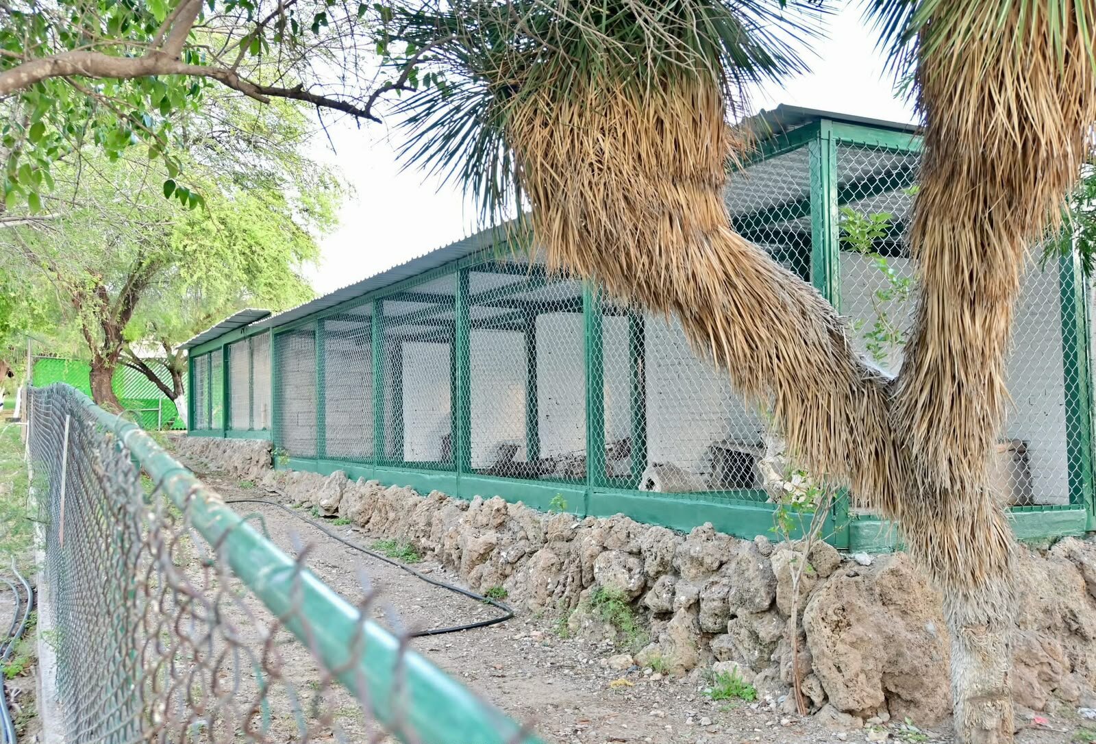Ecoparque