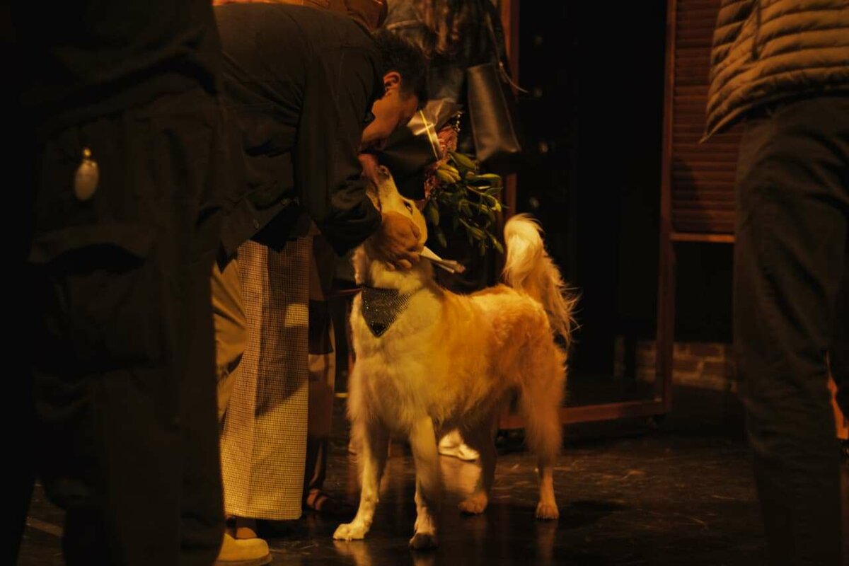 Obra Los perros que salvaron mi vida inicia temporada en CDMX