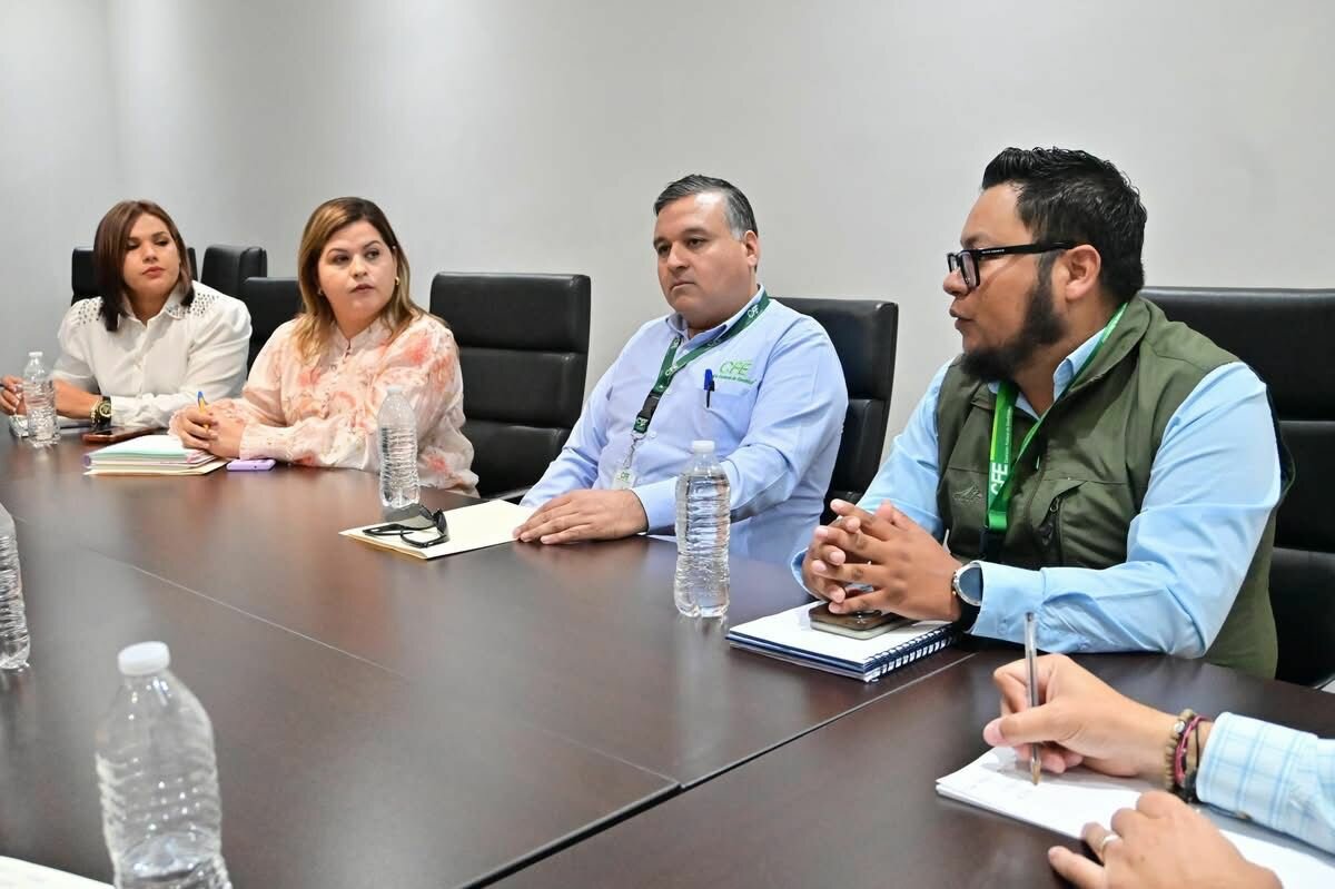 CFE y SIMAS