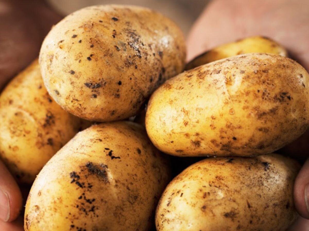 Cómo influye la forma de preparar las papas en la glucosa