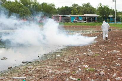 Refuerzan acciones preventivas contra el dengue en Piedras Negras