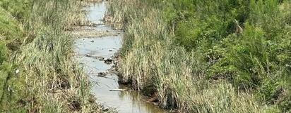 Preocupa abandono del arroyo El Soldado tras recientes inundaciones