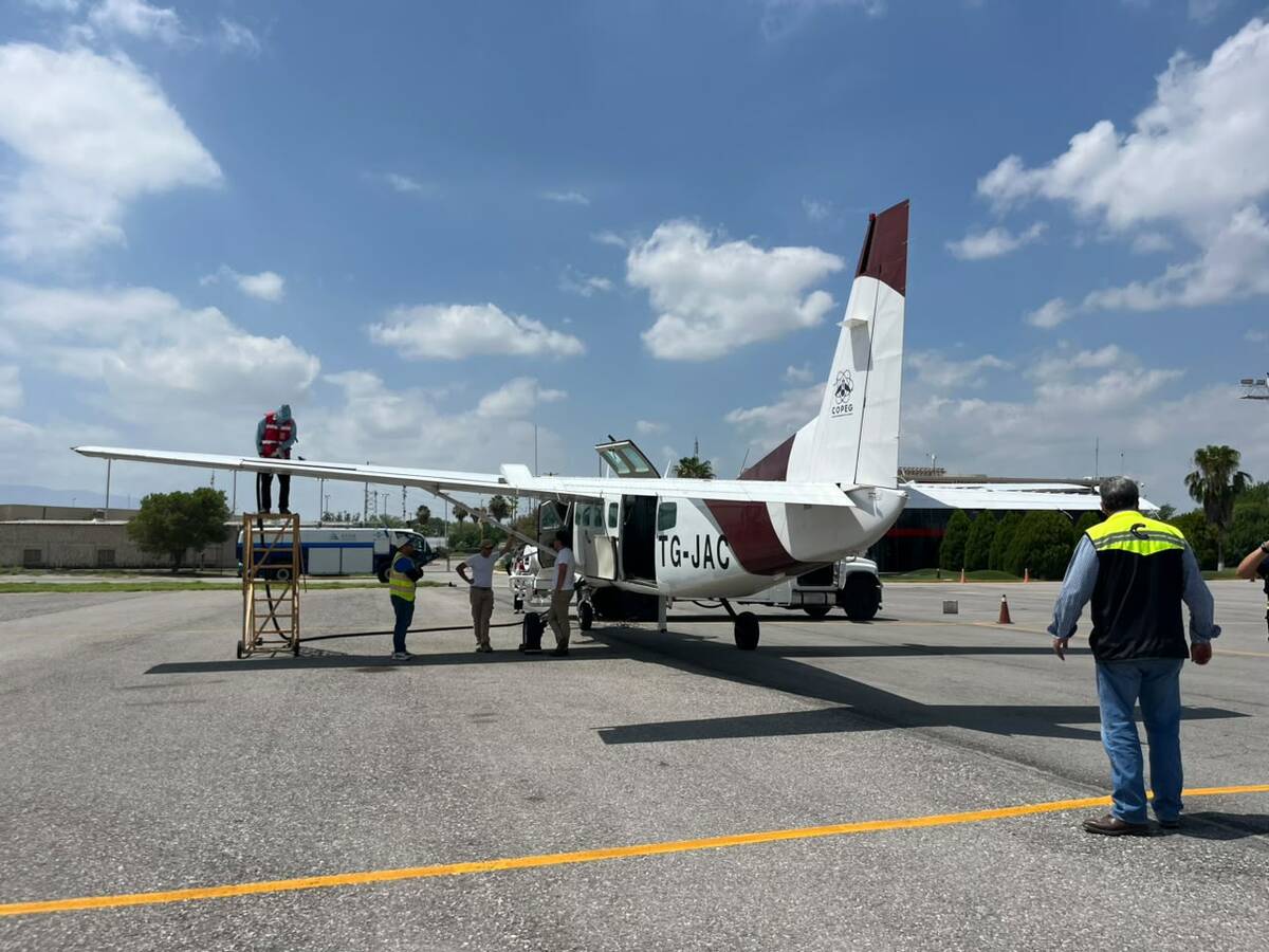 Aeropuerto Venustiano Carranza fortalece campaña aérea contra el gusano barrenador en Coahuila