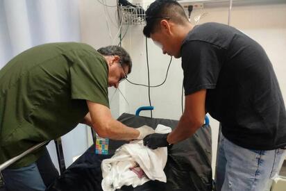 Bebé prematuro cumple una semana bajo atención especializada.  Juanito continúa aferrándose a la vida y permanece estable en el área de Neonatología