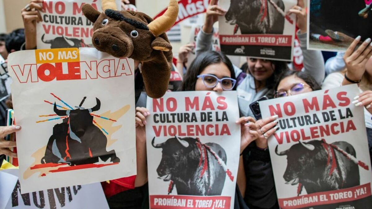 Animalistas presionan para frenar corrida de toros en Tijuana