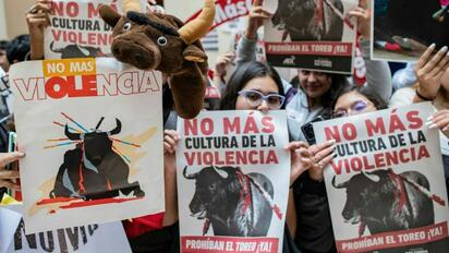 Animalistas presionan para frenar corrida de toros en Tijuana