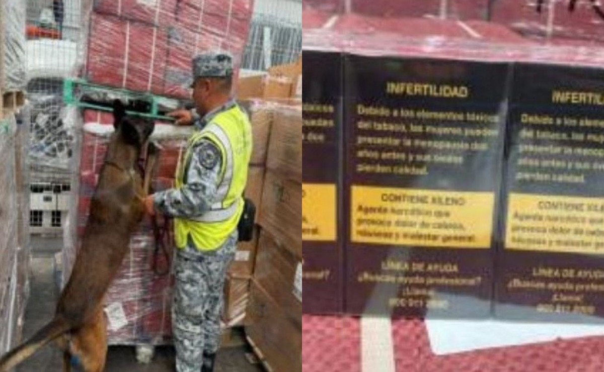 Aseguran en el AIFA cargamento de 84 mil cigarrillos ilegales de Bélgica