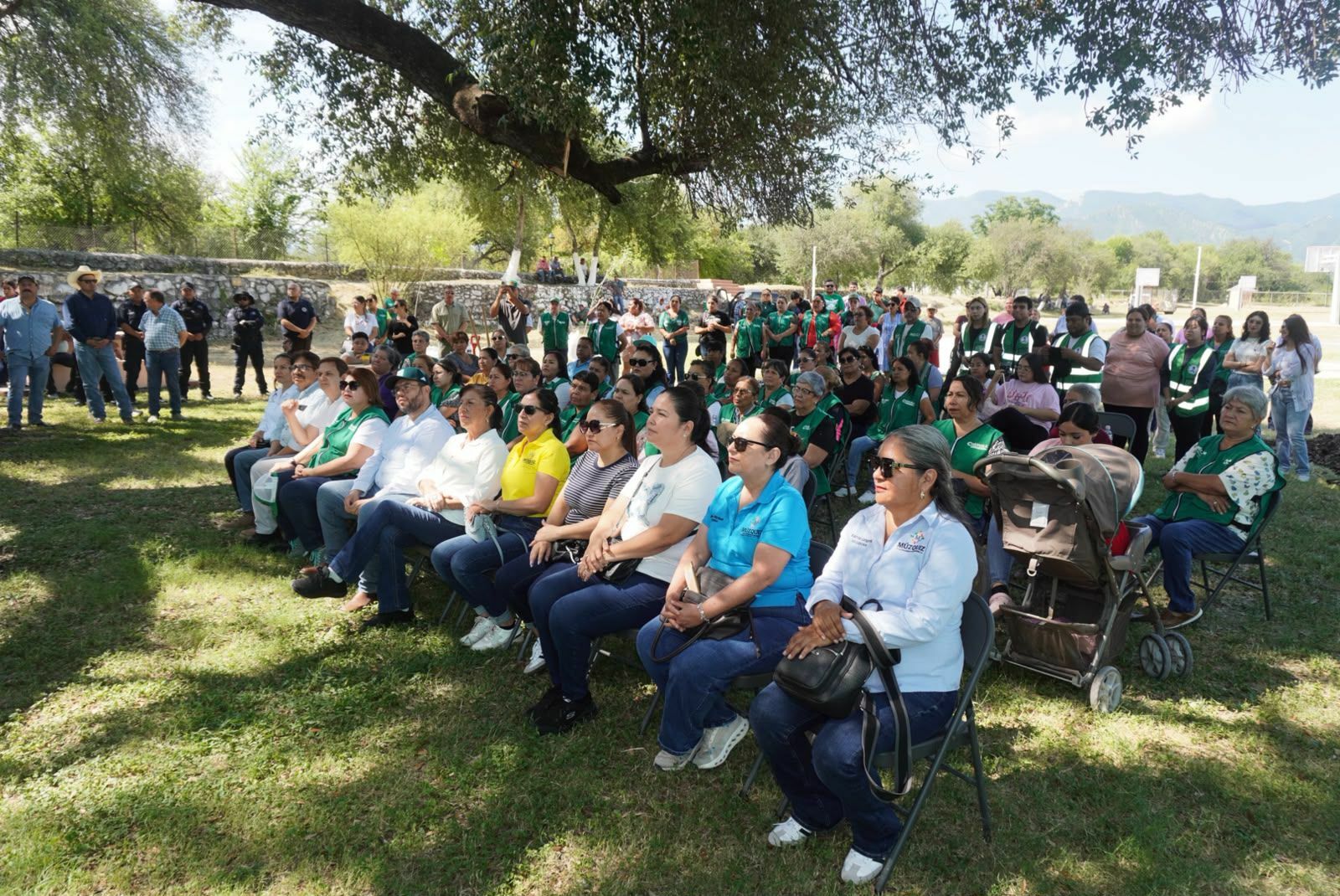 Reforestación