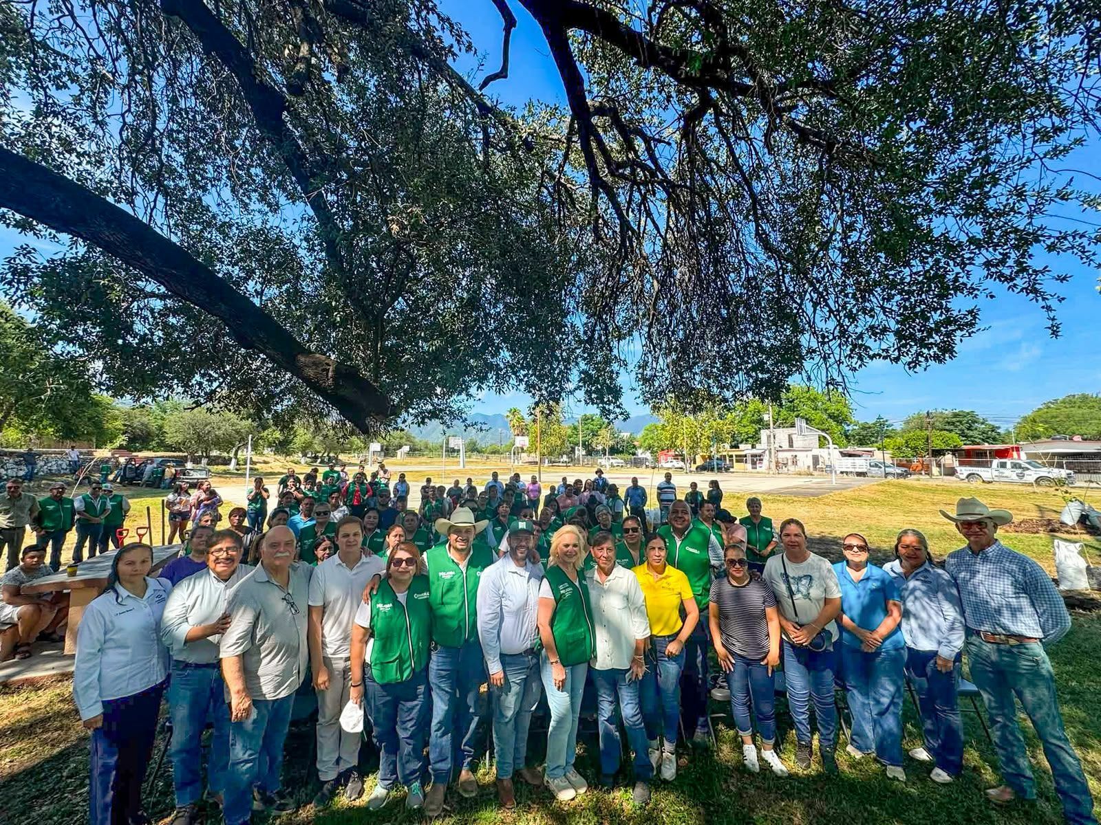 Reforestación