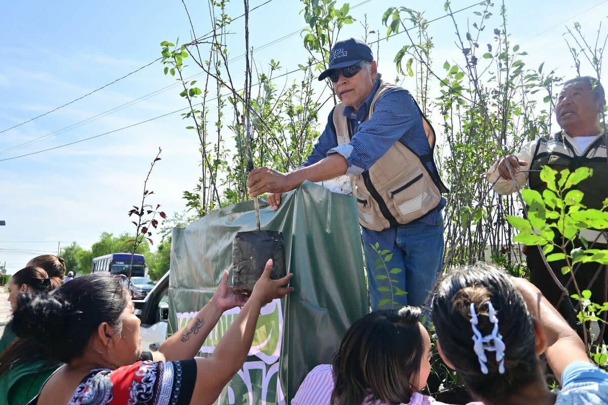 Medio ambiente