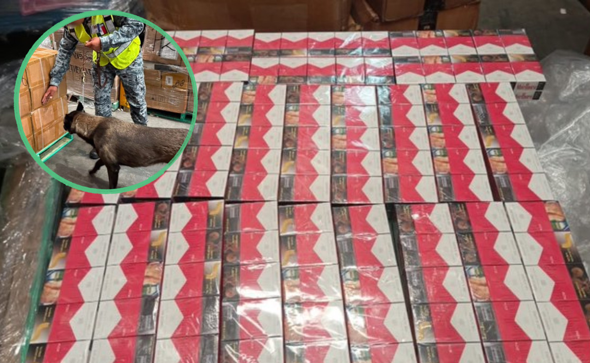 Declararon 'cables de datos', pero escondían 60 mil cajetillas de cigarros en el AIFA