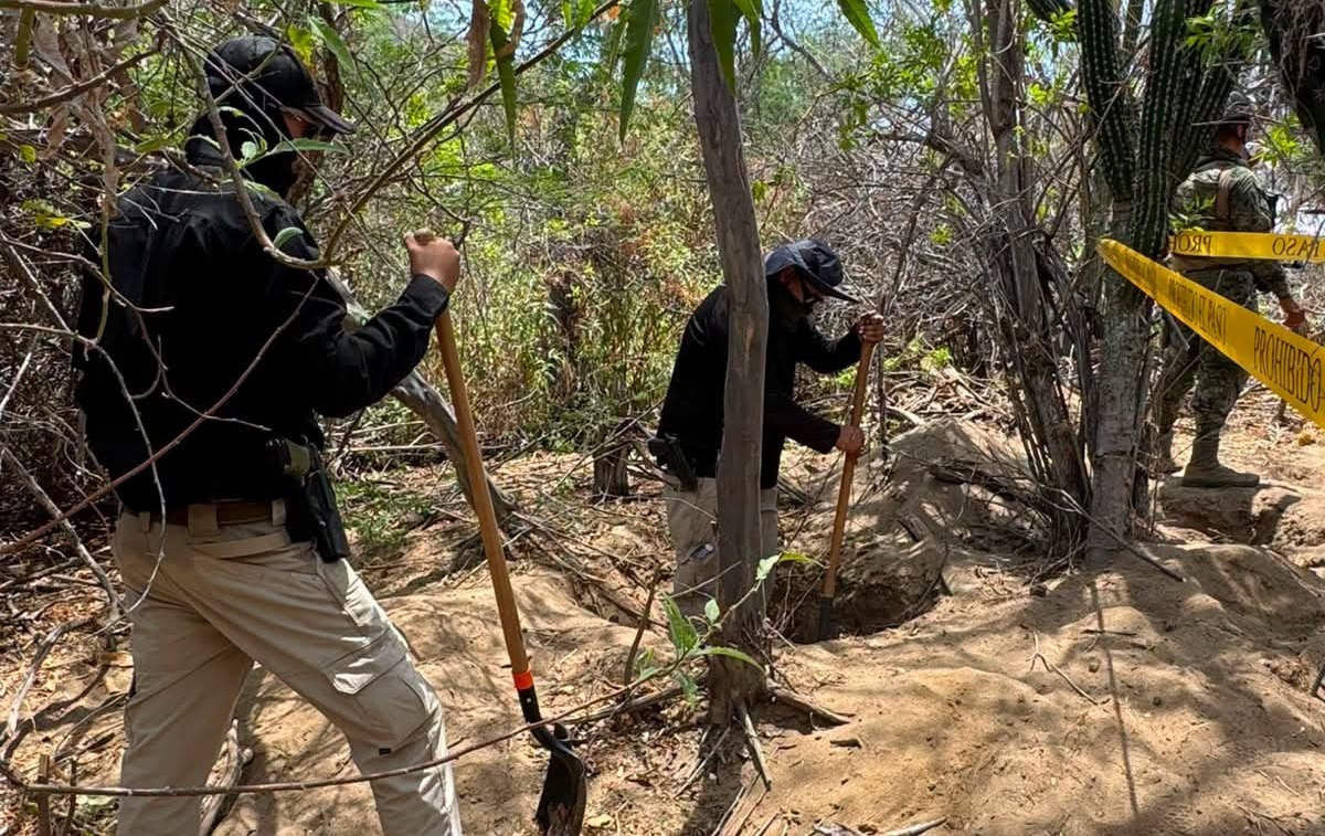 Localizan 5 fosas clandestinas en operativo en San José del Cabo
