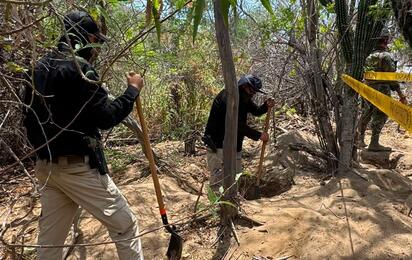 Localizan 5 fosas clandestinas en operativo en San José del Cabo