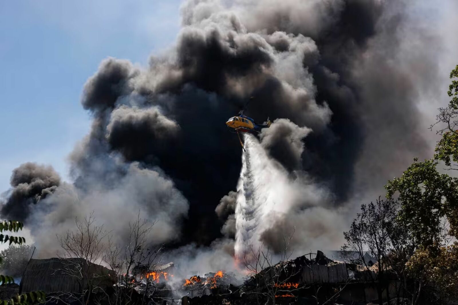 Incendios forestales consumen más de 17 mil hectáreas en Europa por calor extremo