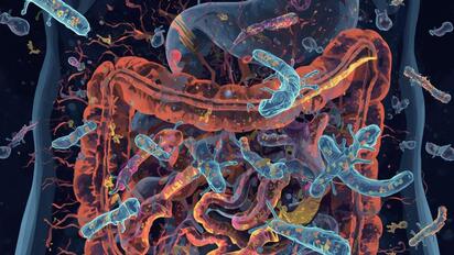 ¿Te inflamas cuando te estresas?: el daño silencioso a tu microbiota