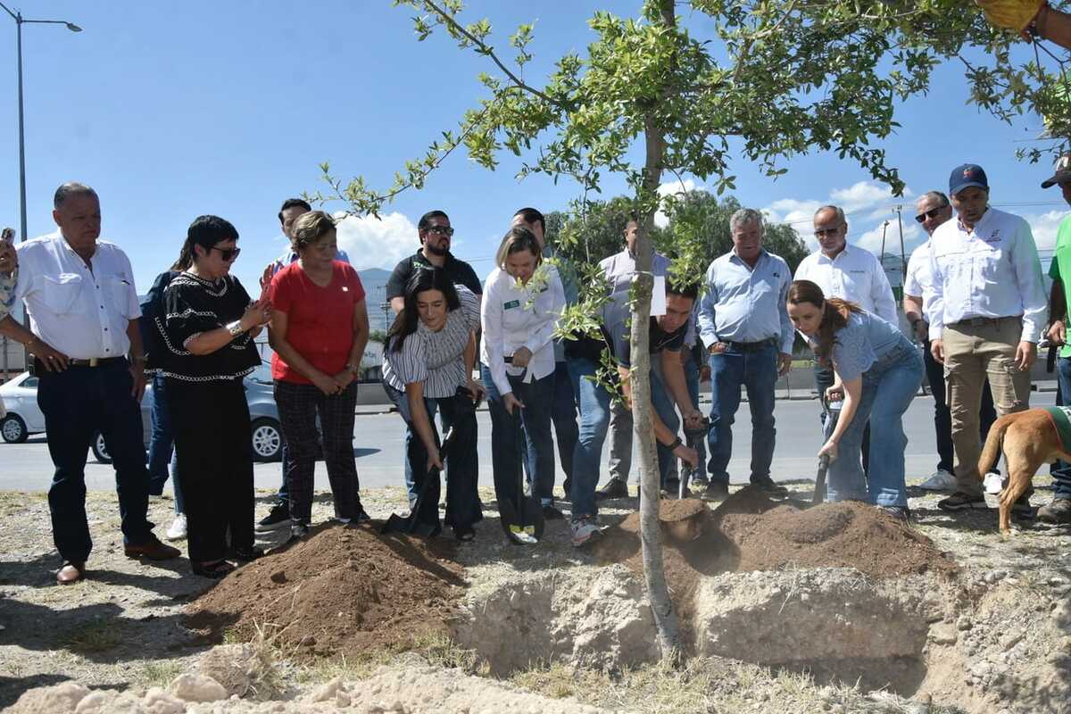 Plantan más de 100 mil árboles con la campaña “Verde Verde Coahuila”