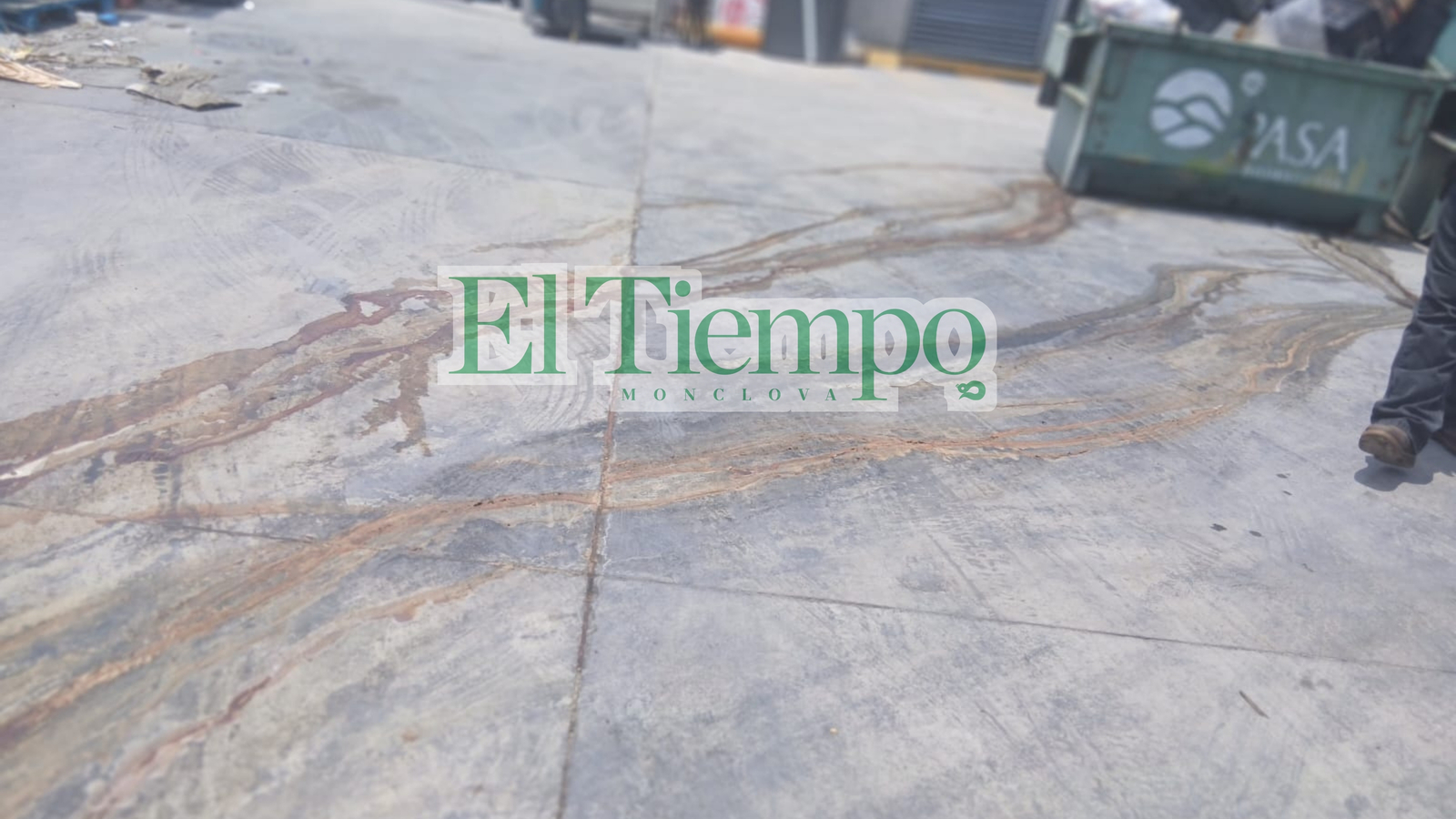 Ecología