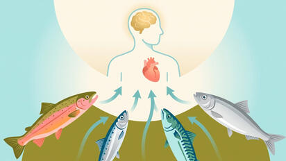 Omega-3: cuánto y cómo comer pescado graso para maximizar los beneficios