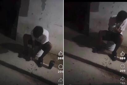 Un video difundido en redes sociales desató indignación por el presunto maltrato de un gato cachorro en Monclova. La difusión de un video en grupos de compra