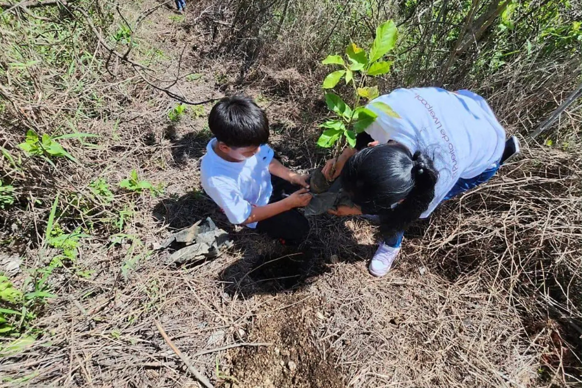 Explotación clandestina amenaza ecosistemas y autoridades ya actúan en Nayarit