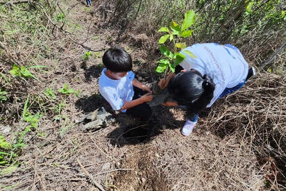 Explotación clandestina amenaza ecosistemas y autoridades ya actúan en Nayarit