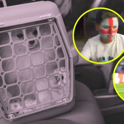 Streamer olvida a su perro en el carro por ver el partido entre México e Inglaterra y lo halla muerto