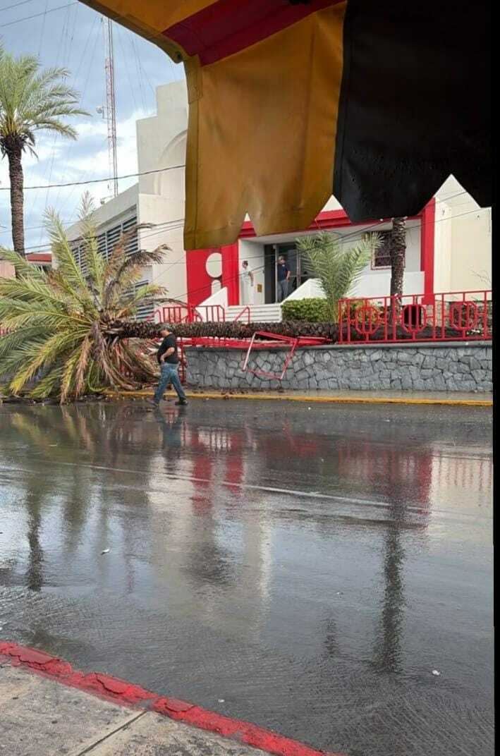 Clima