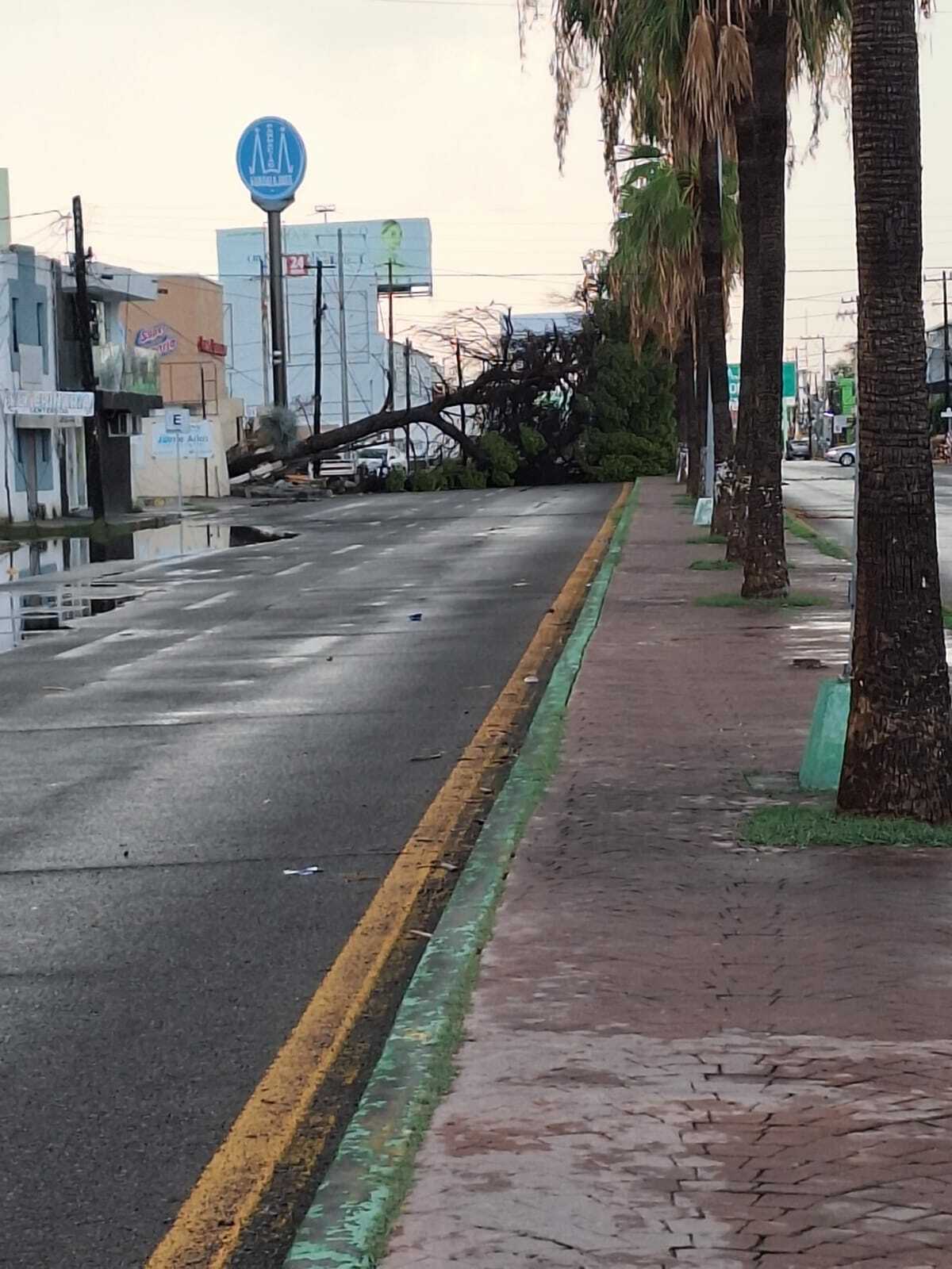 Clima