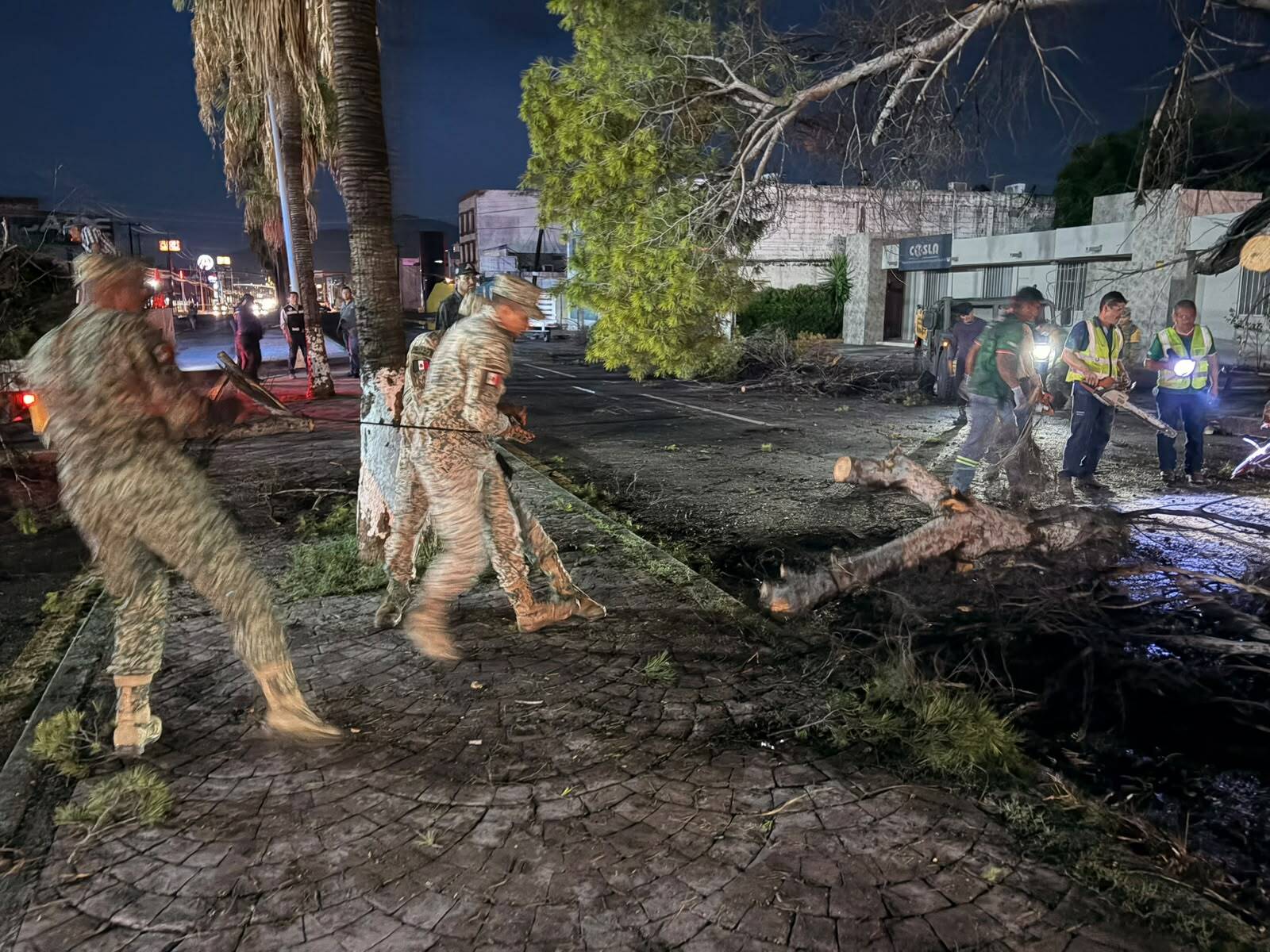 Ejército Mexicano retira árboles y espectaculares tras las lluvias en Monclova