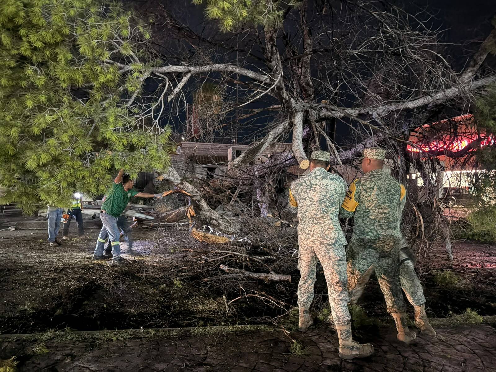 Lluvias: Personal militar colaboró con autoridades municipales retirando árboles y estructuras derribadas por los fuertes vientos.
