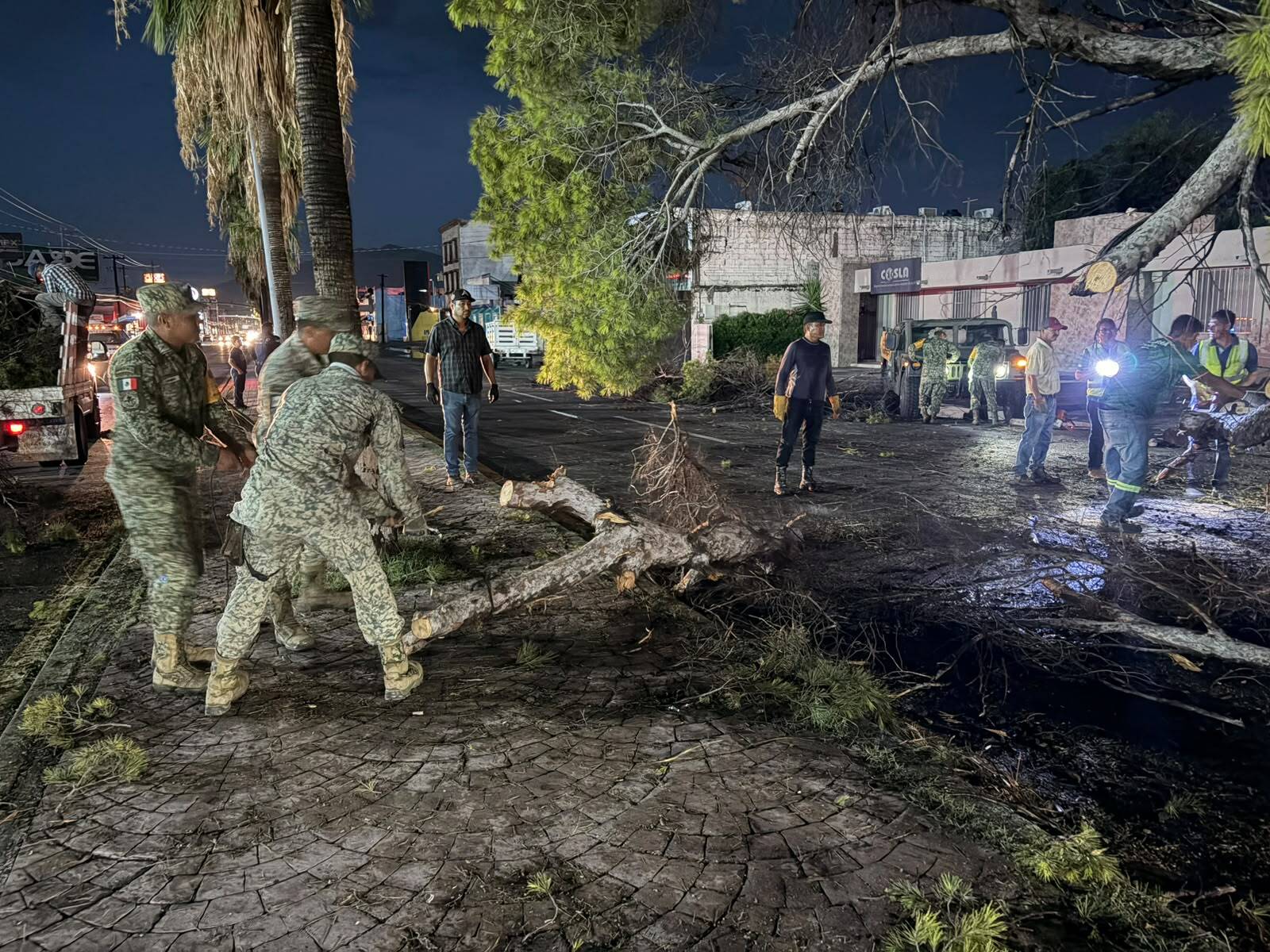 Lluvias: Personal militar colaboró con autoridades municipales retirando árboles y estructuras derribadas por los fuertes vientos.