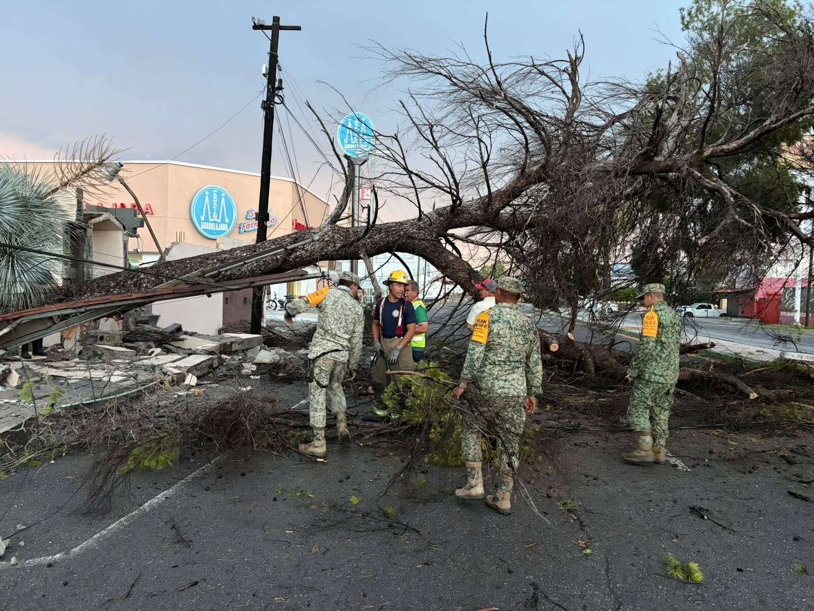 Lluvias: Personal militar colaboró con autoridades municipales retirando árboles y estructuras derribadas por los fuertes vientos.