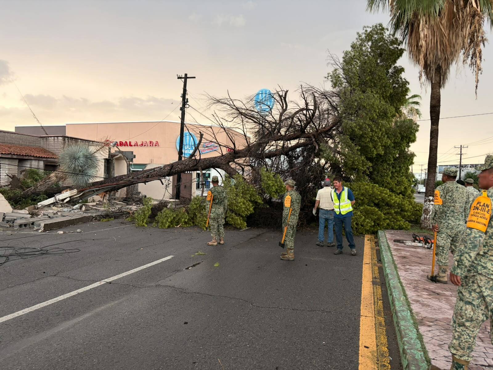 Lluvias: Personal militar colaboró con autoridades municipales retirando árboles y estructuras derribadas por los fuertes vientos.