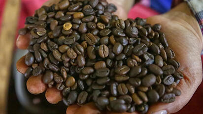 La industria cafetera estadounidense solicitó mantener libre de aranceles el café brasileño para evitar mayores costos y proteger el suministro del mercado