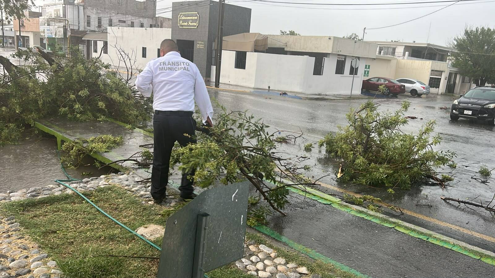 Lluvias y vientos dejan daños materiales y caída de árboles en Monclova