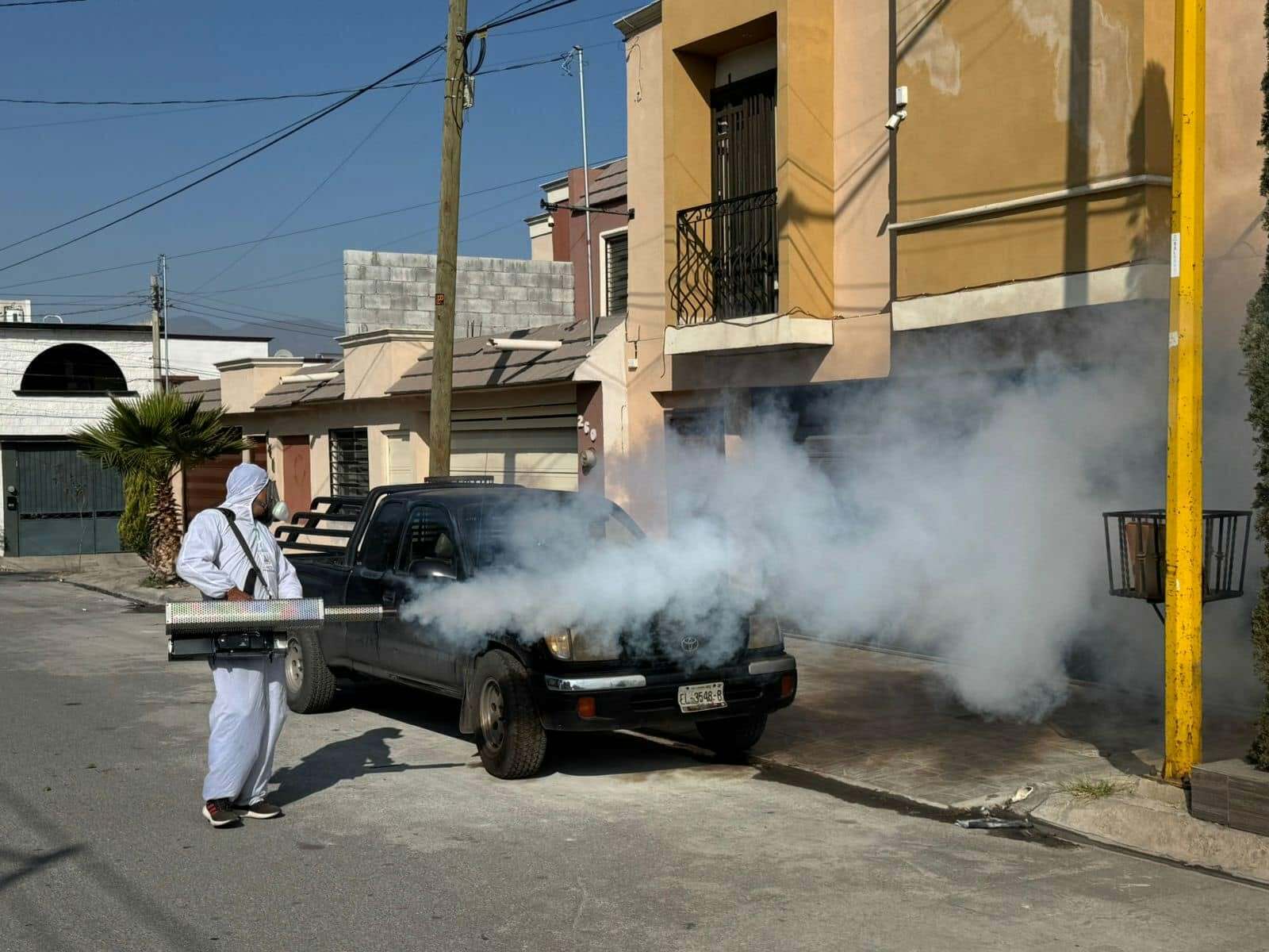 Moscas estériles por gusano barrenador frenan fumigaciones indiscriminadas 