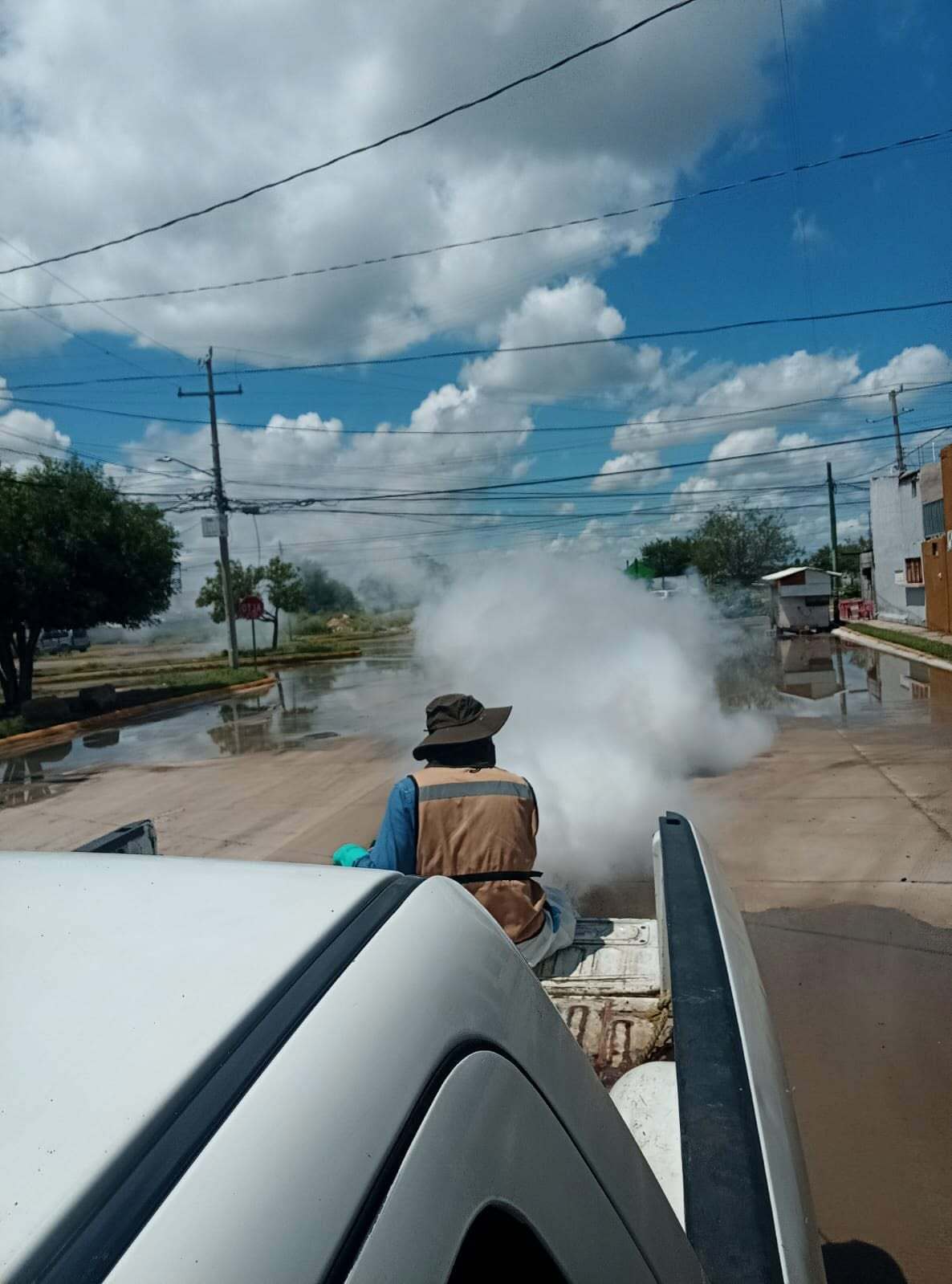 Fumigación