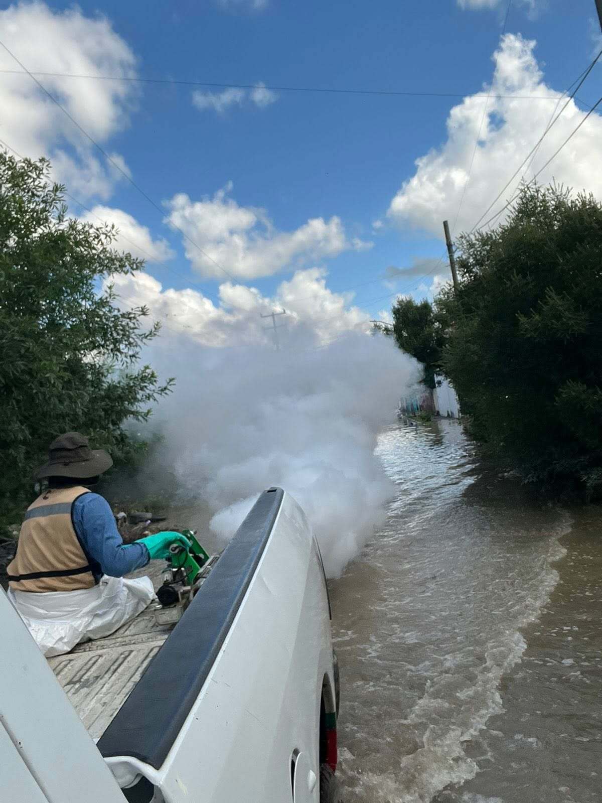 Fumigación