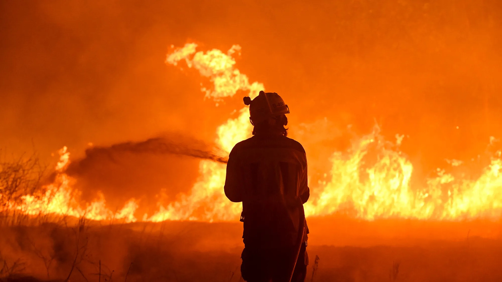 incendio forestal incendio forestal