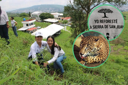 Así buscan recuperar el hábitat del jaguar en Nayarit tras los incendios forestales