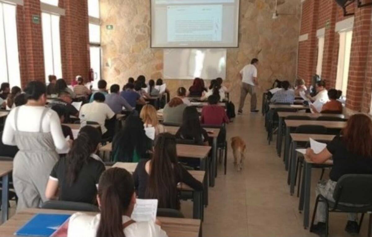 Amplía Universidad del Bienestar inscripciones hasta el 31 de julio; buscan alcanzar 300 alumnos
