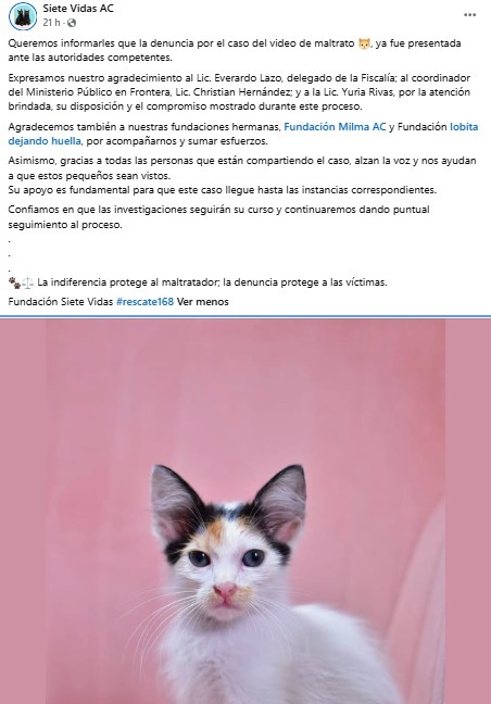 maltrato animal
