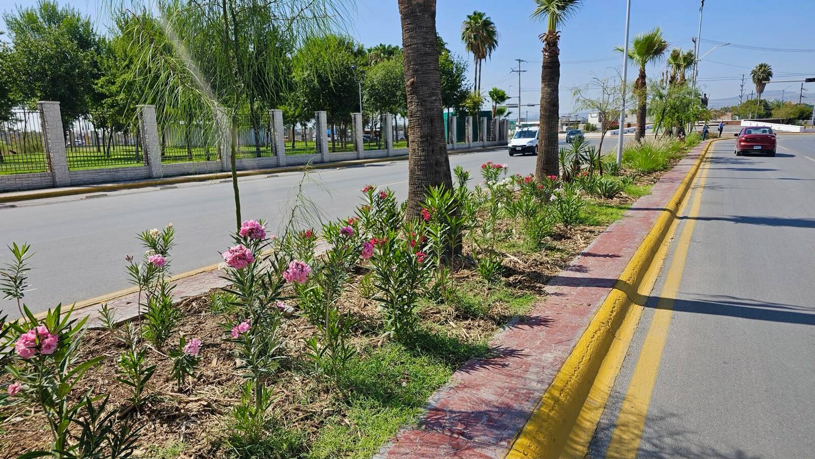 rehabilitación