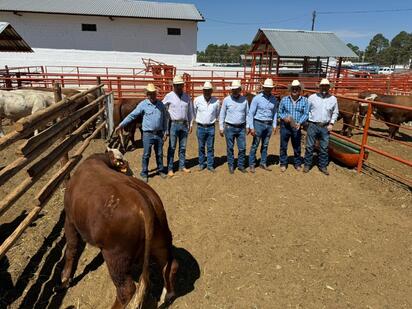El programa de mejoramiento genético cuenta con el respaldo del gobernador y contempla el apoyo de más de 750 toros en el estado.  El alcalde de Monclova,