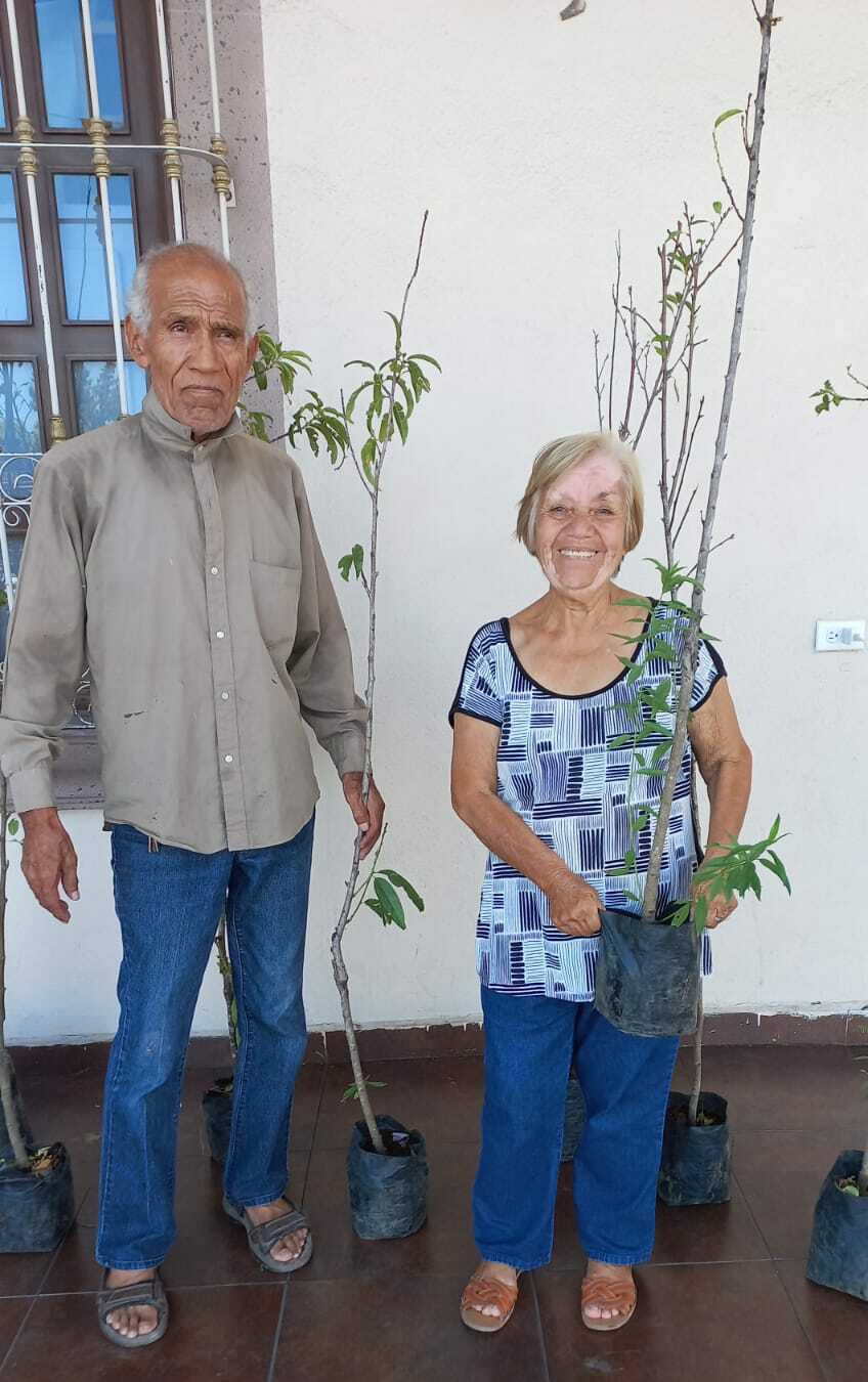 Sari Pérez