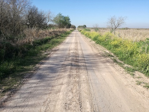 Rehabilita Yesica Sifuentes camino al ejido Presa Rodríguez
