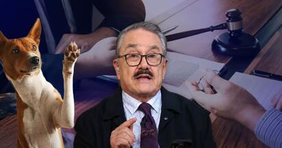 Denuncian formalmente a Pedro Sola por apología al maltrato animal