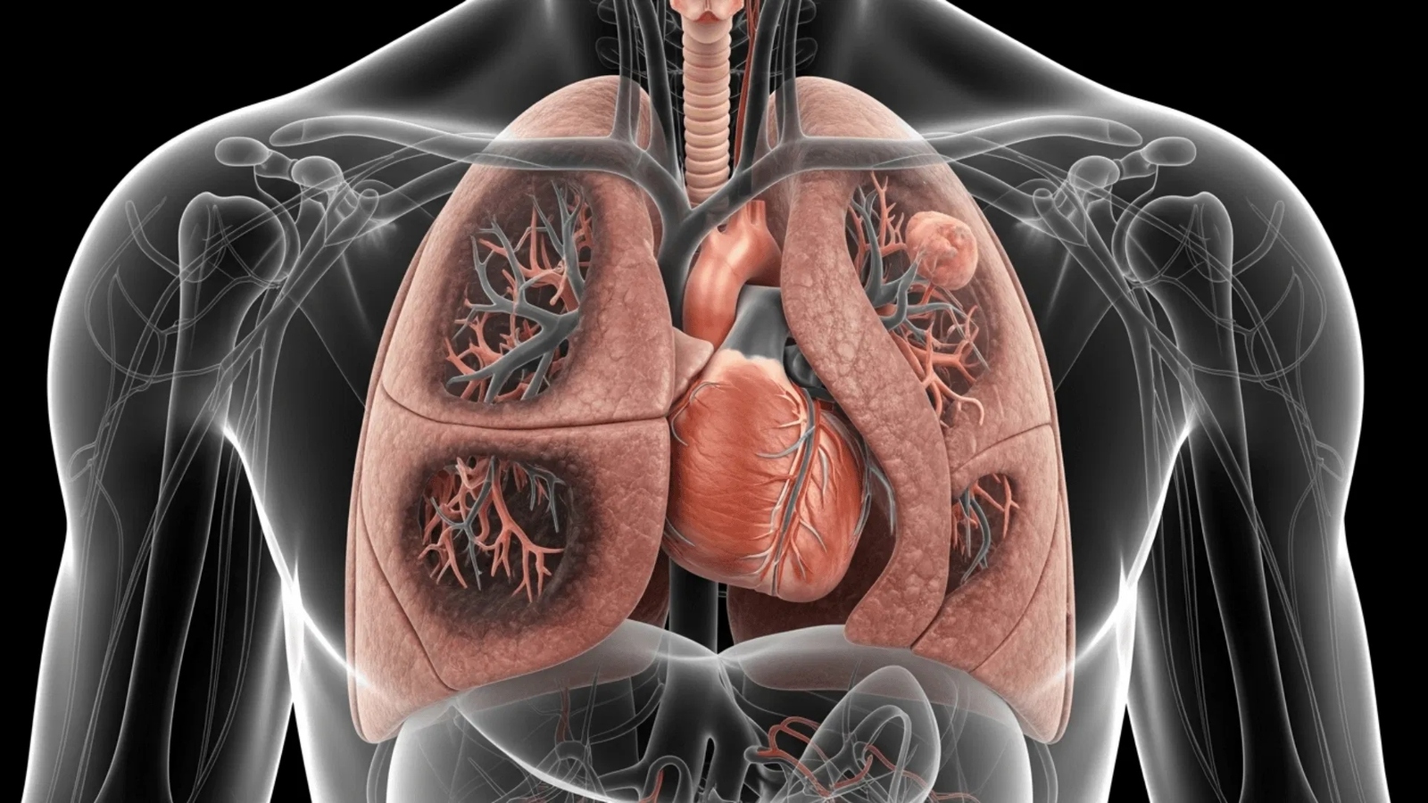 El enemigo silencioso de tus pulmones: Qué es la EPOC