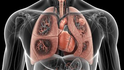 El enemigo silencioso de tus pulmones: Qué es la EPOC