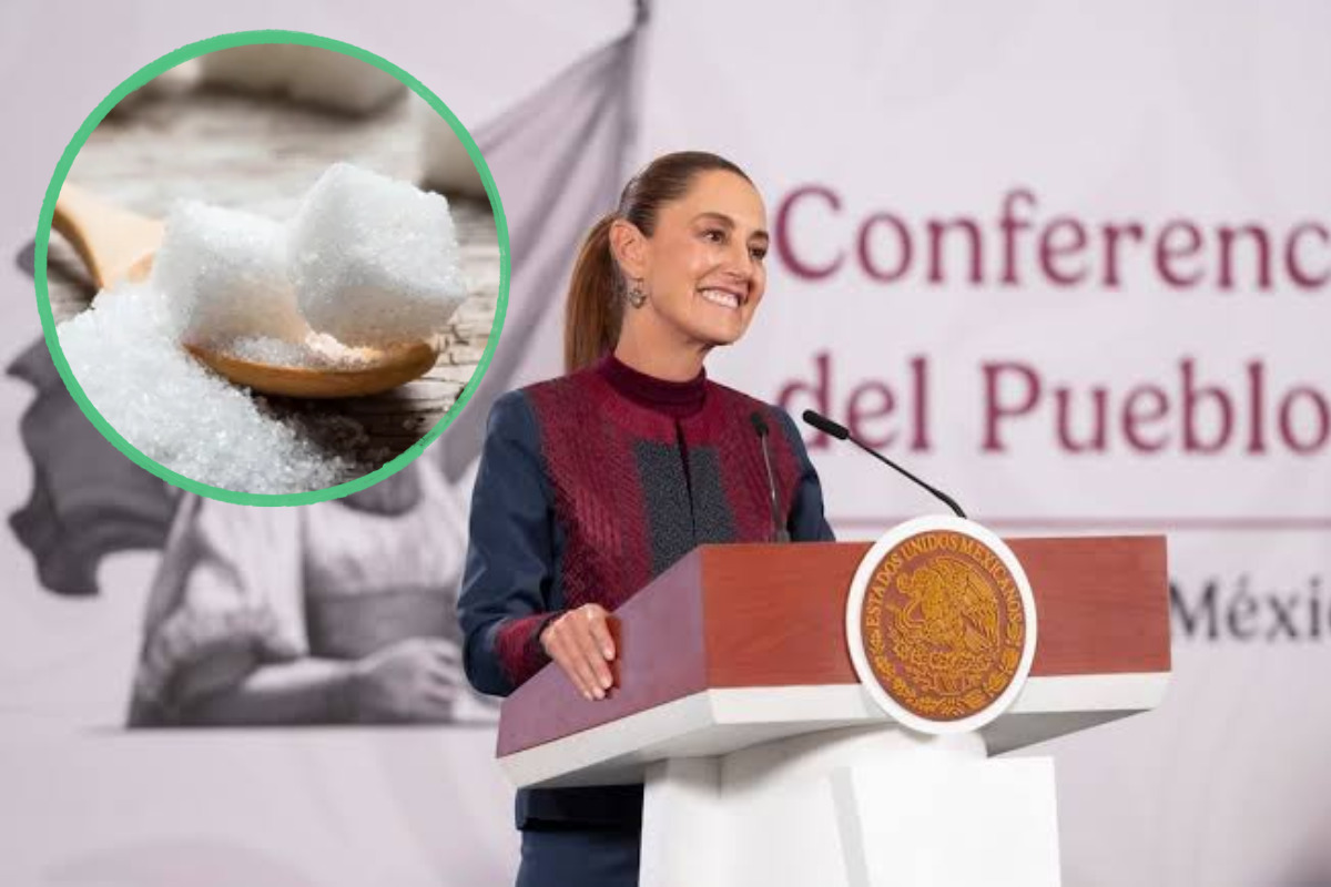 Buena noticia para el campo: México recupera mercado clave para el azúcar